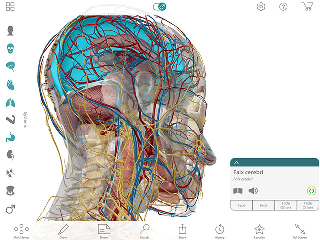 visual body human anatomy atlas visual body human anatomy atlas